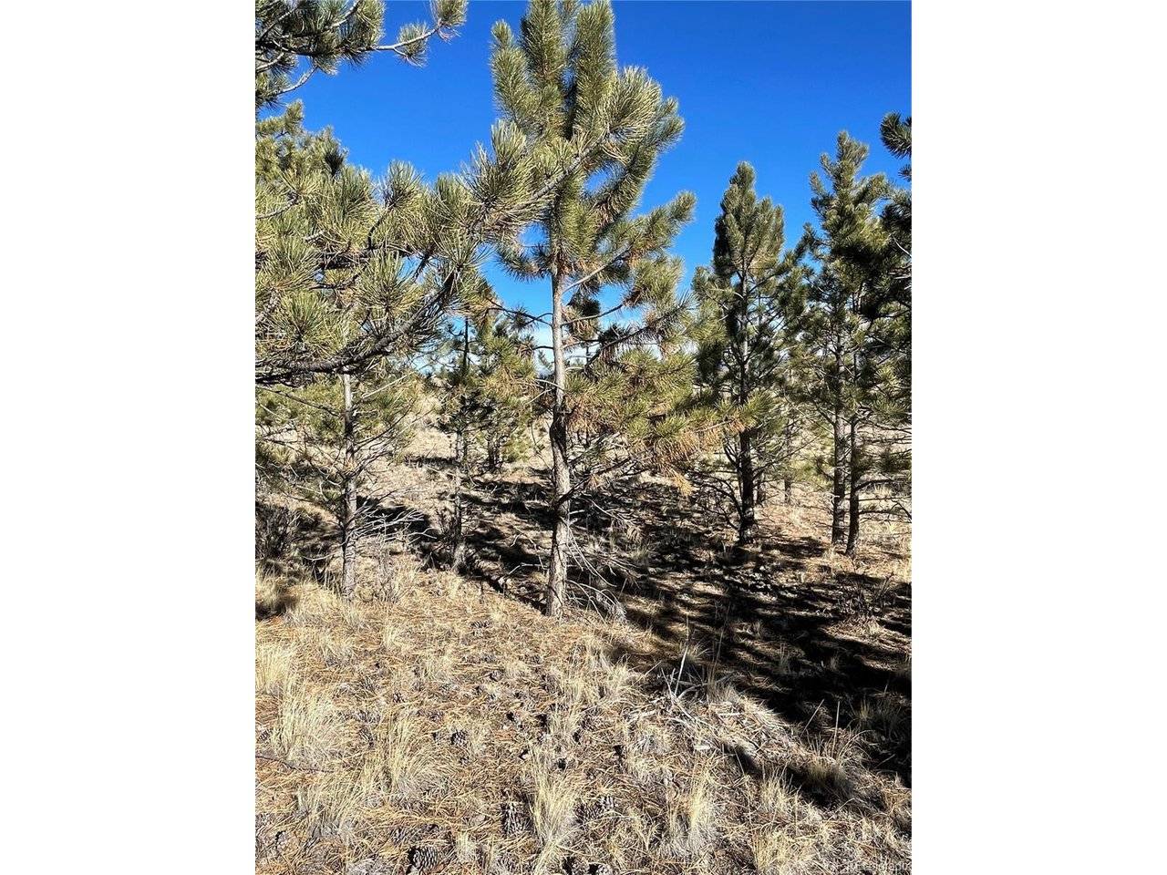 0 Oak, Hartsel, CO 80449