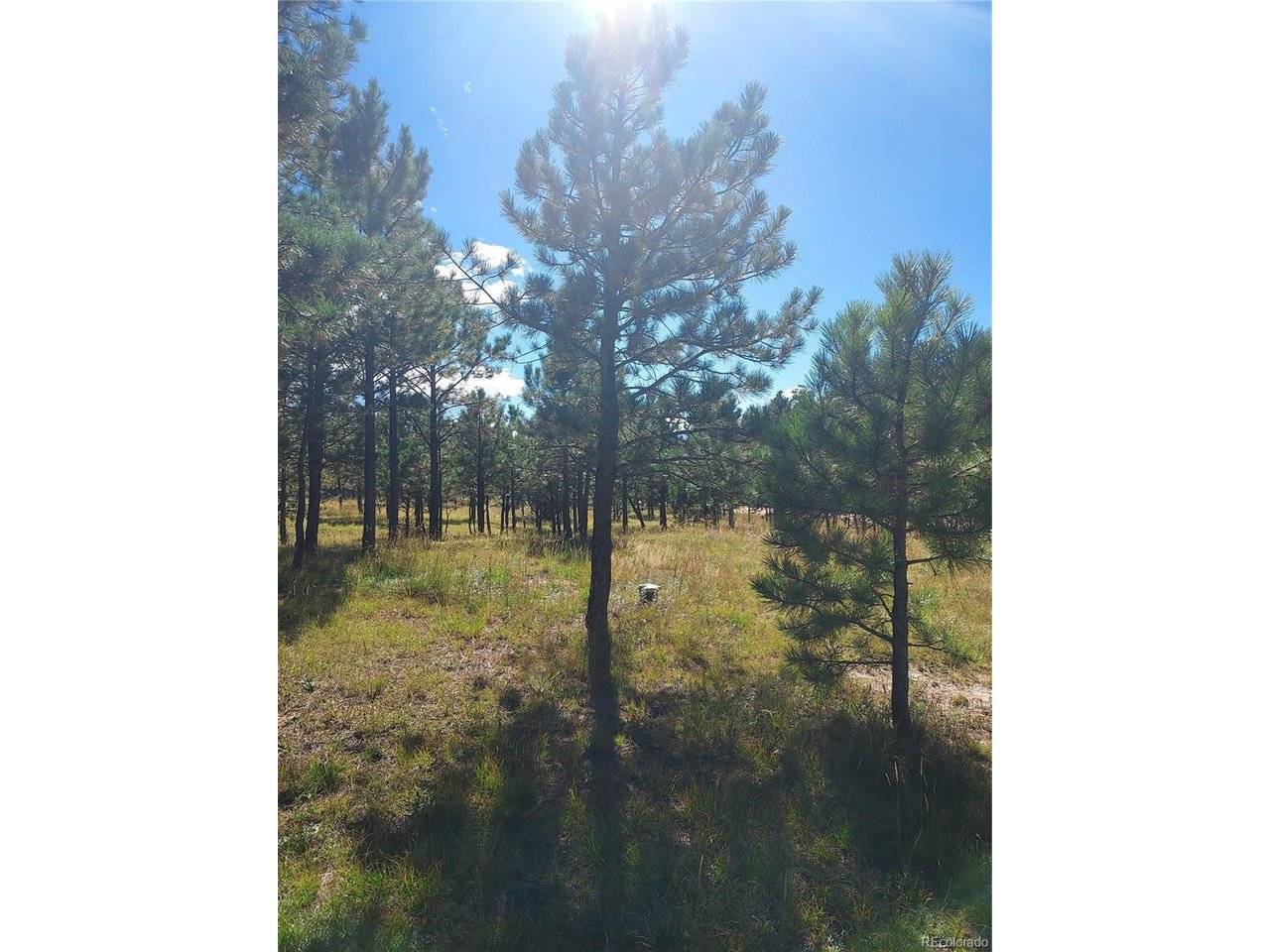 13395 Frank, Colorado Springs, CO 80908