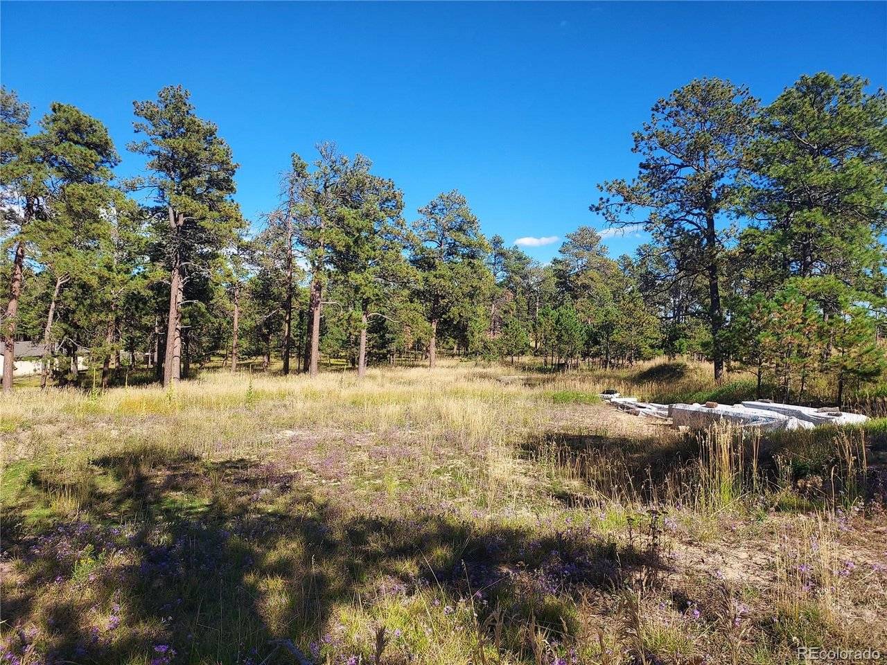 13395 Frank, Colorado Springs, CO 80908