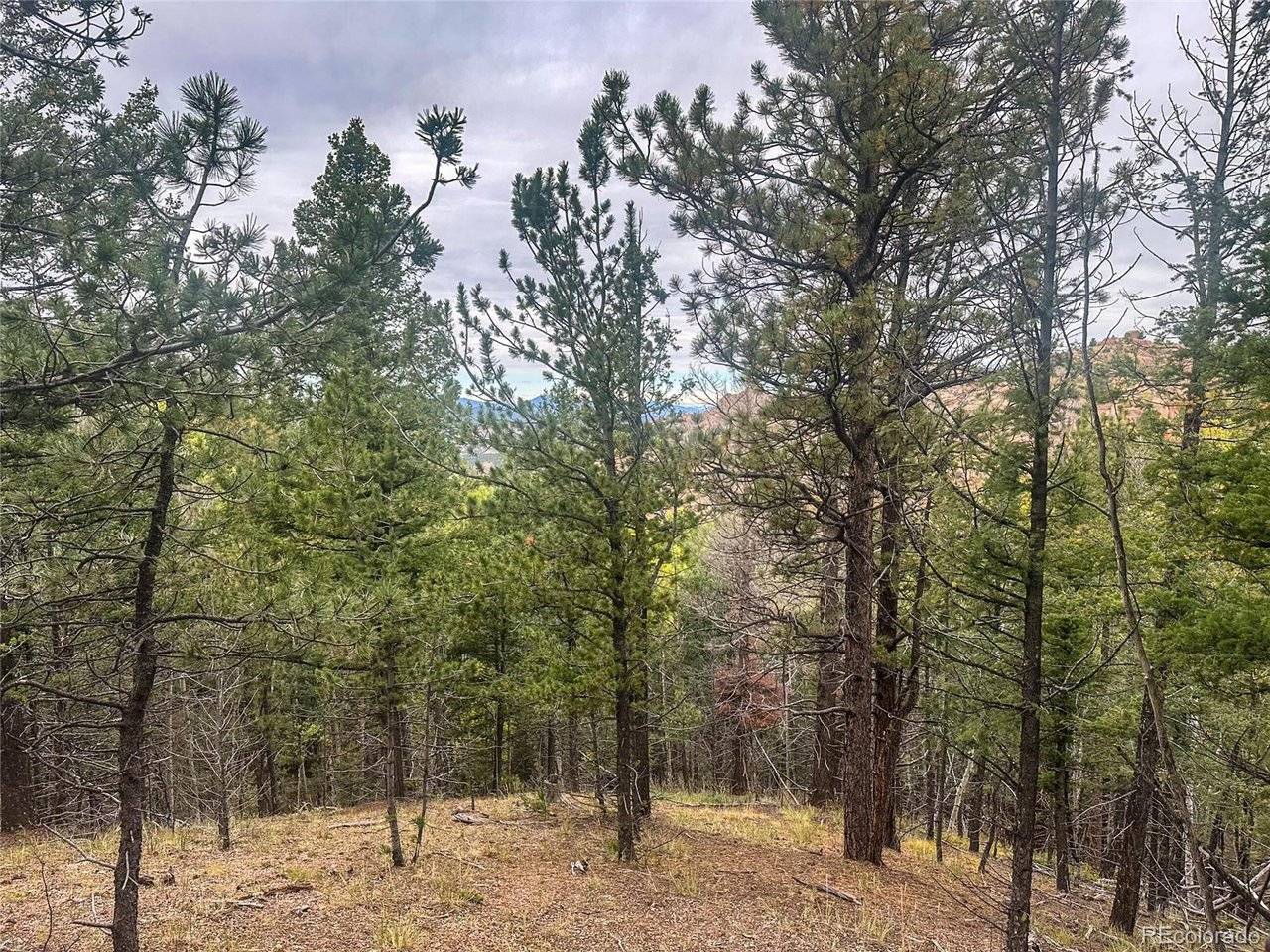 599 Dandy Jim, Cripple Creek, CO 80813