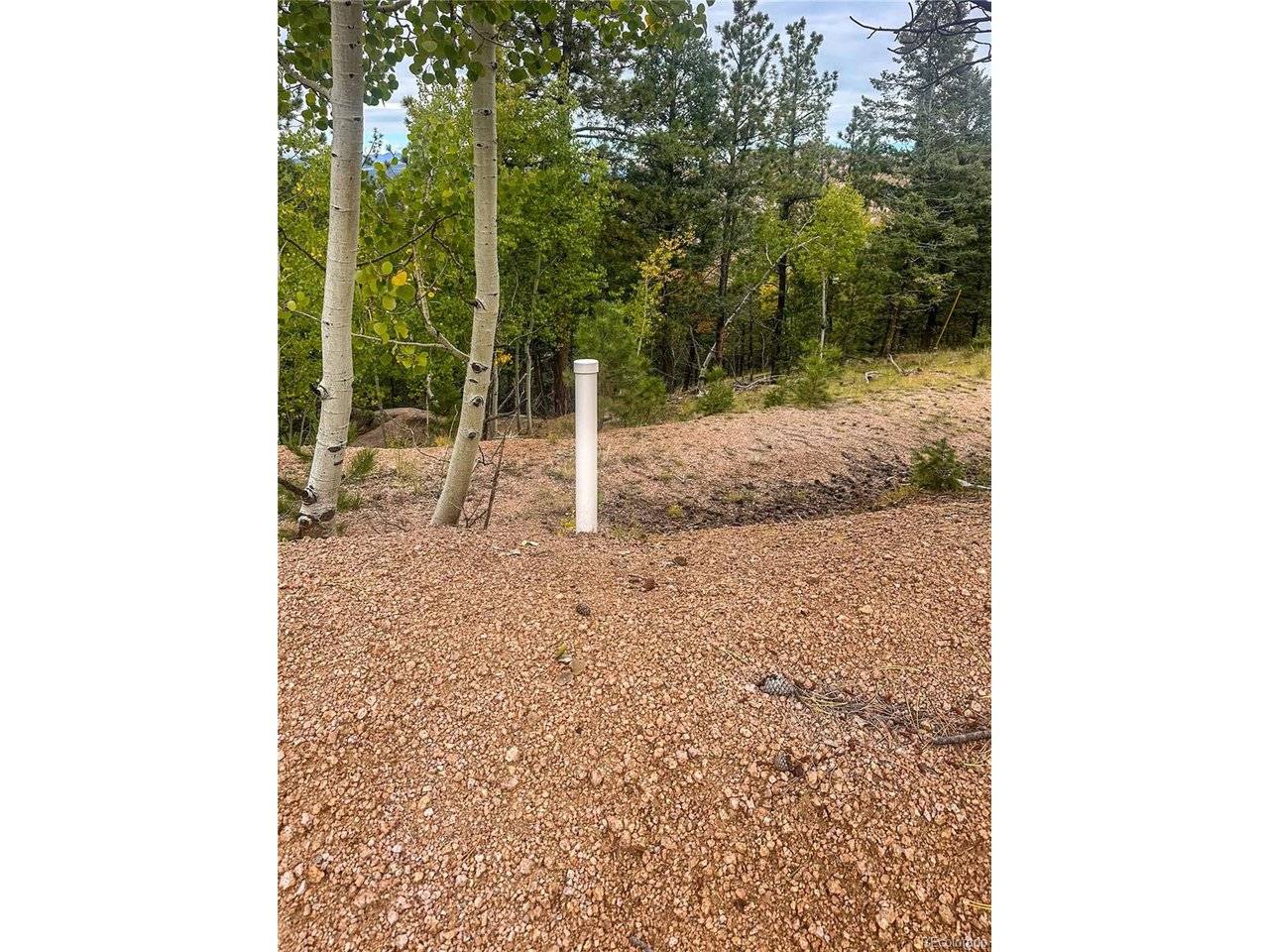 599 Dandy Jim, Cripple Creek, CO 80813