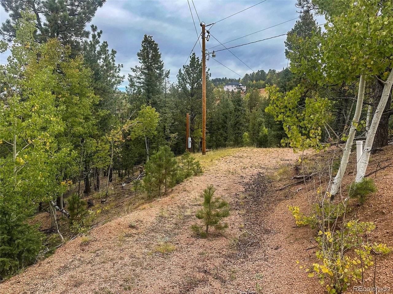 599 Dandy Jim, Cripple Creek, CO 80813