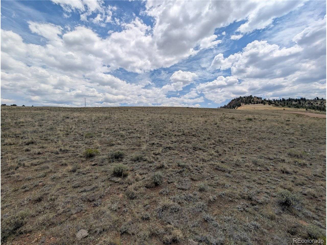 Coyotero, Hartsel, CO 80449