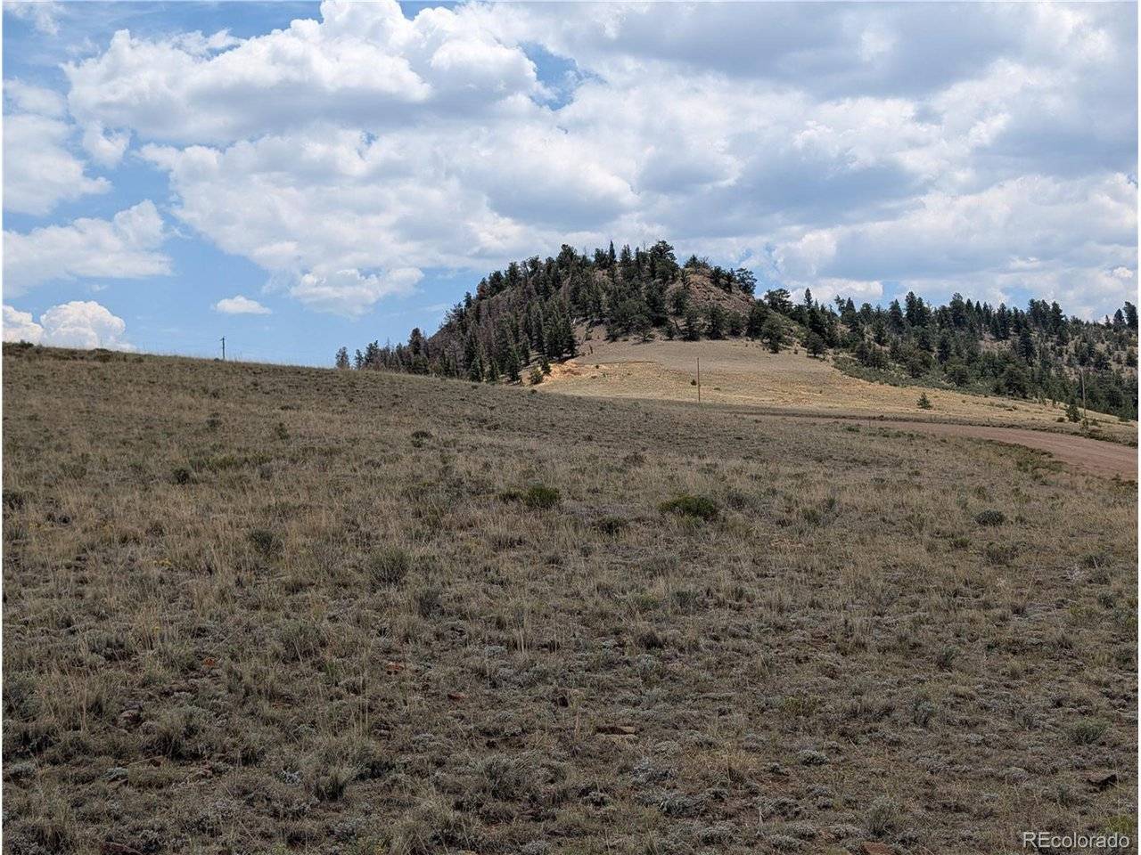 Coyotero, Hartsel, CO 80449