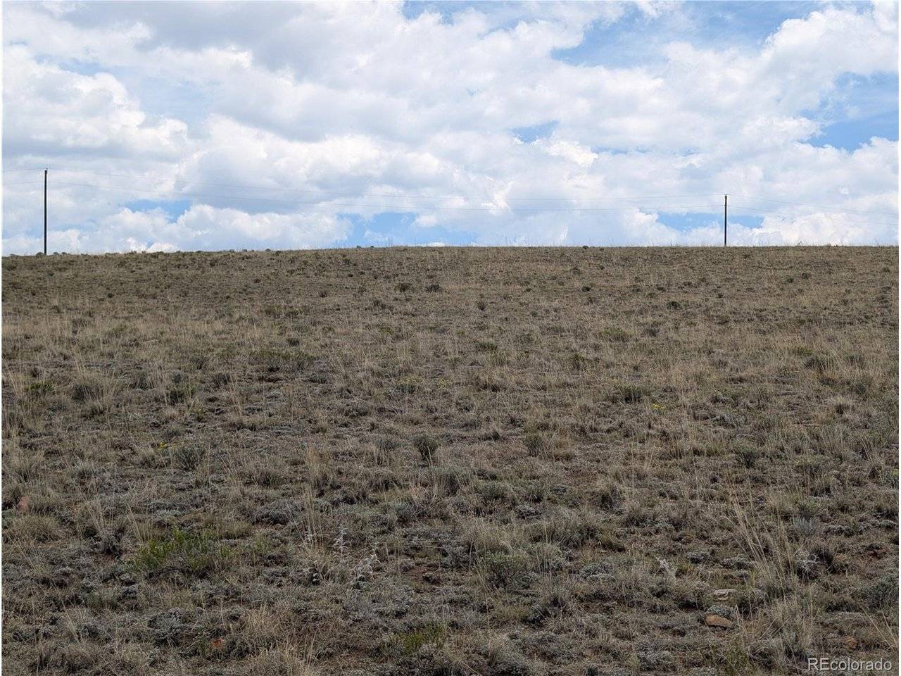 Coyotero, Hartsel, CO 80449