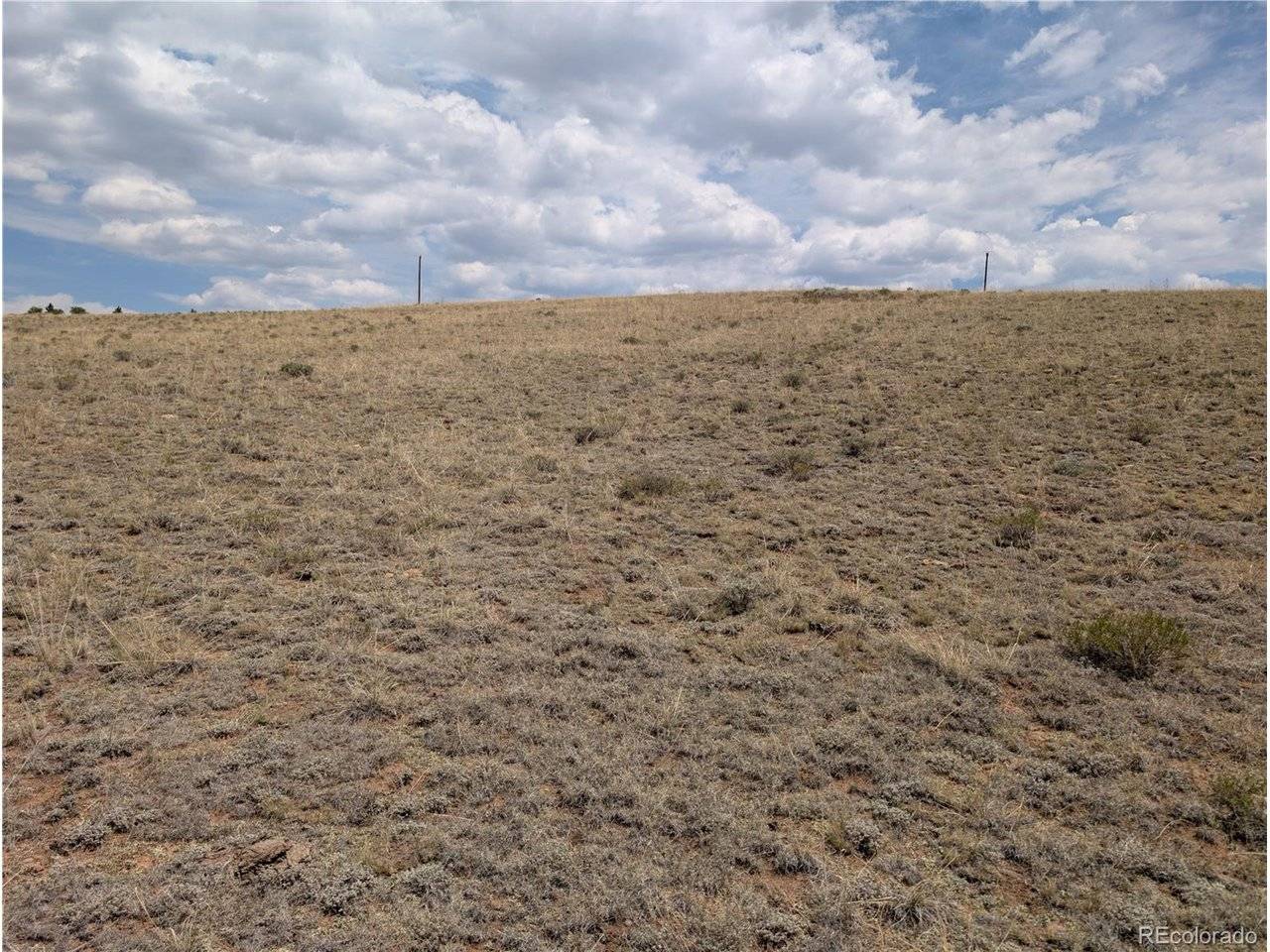 Coyotero, Hartsel, CO 80449