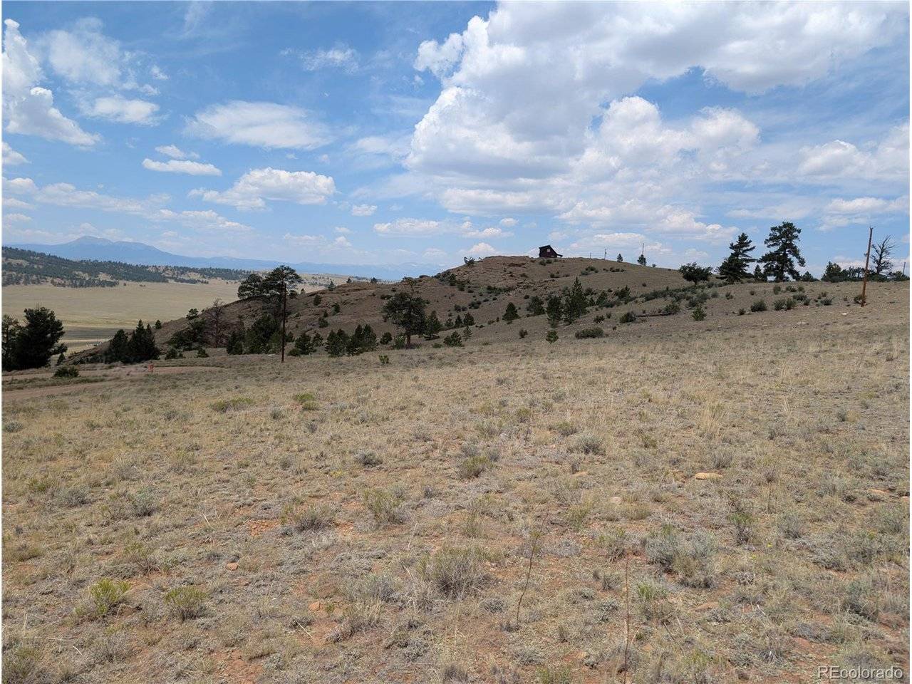 Coyotero, Hartsel, CO 80449