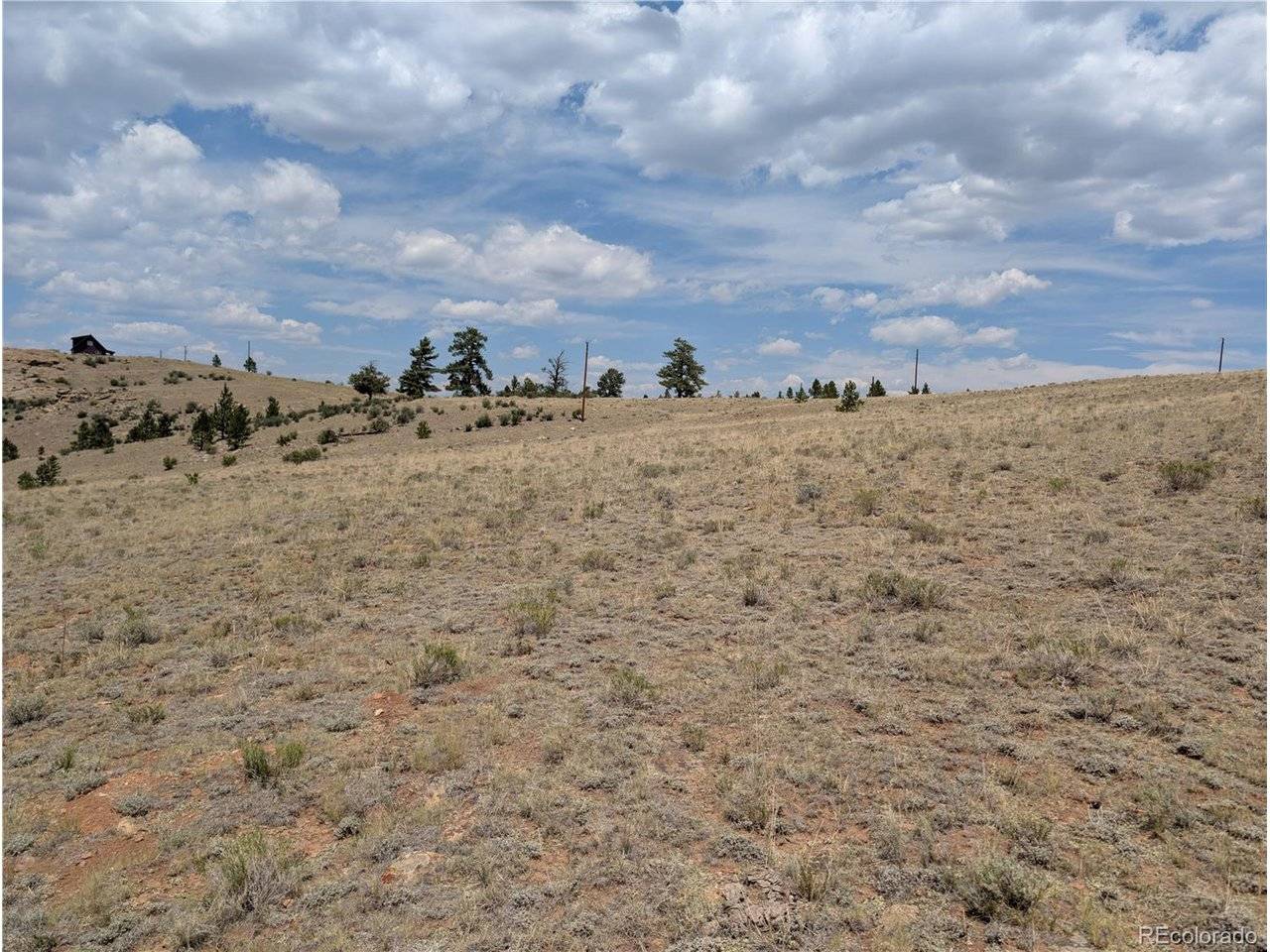 Coyotero, Hartsel, CO 80449