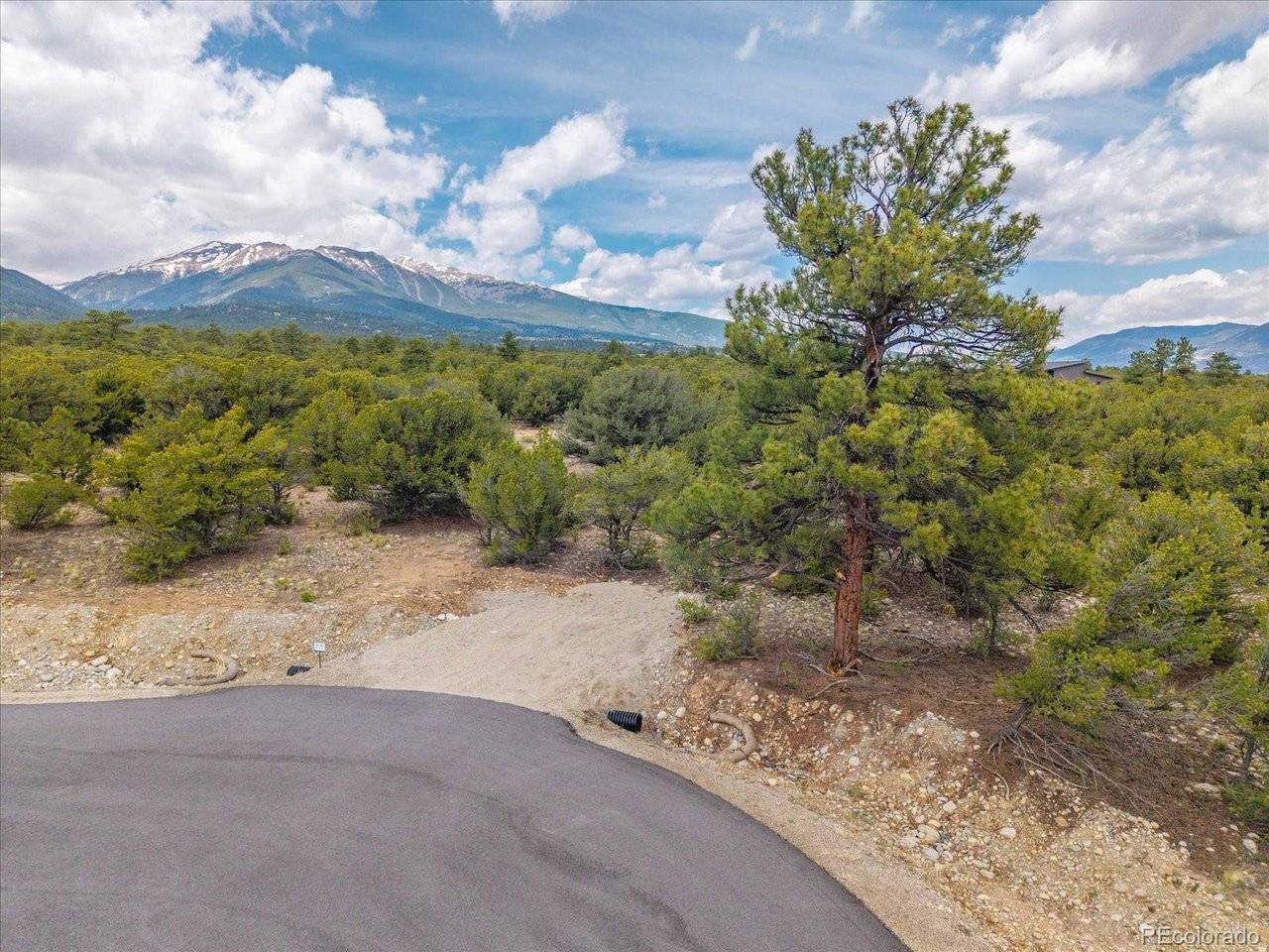 29269 Timber, Buena Vista, CO 81211