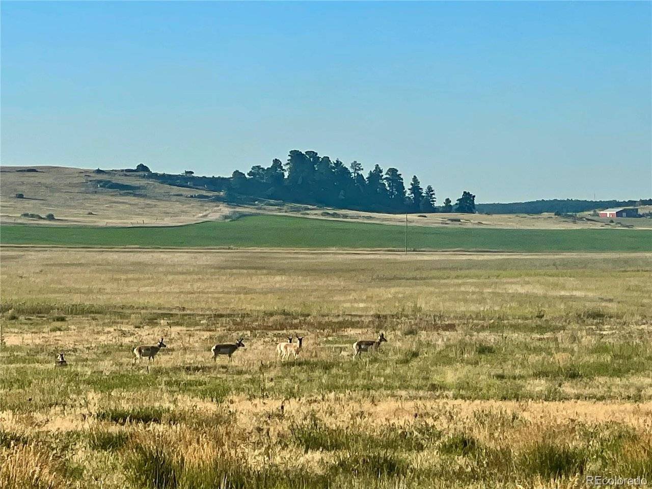 Craven Lot 1, Elbert, CO 80106