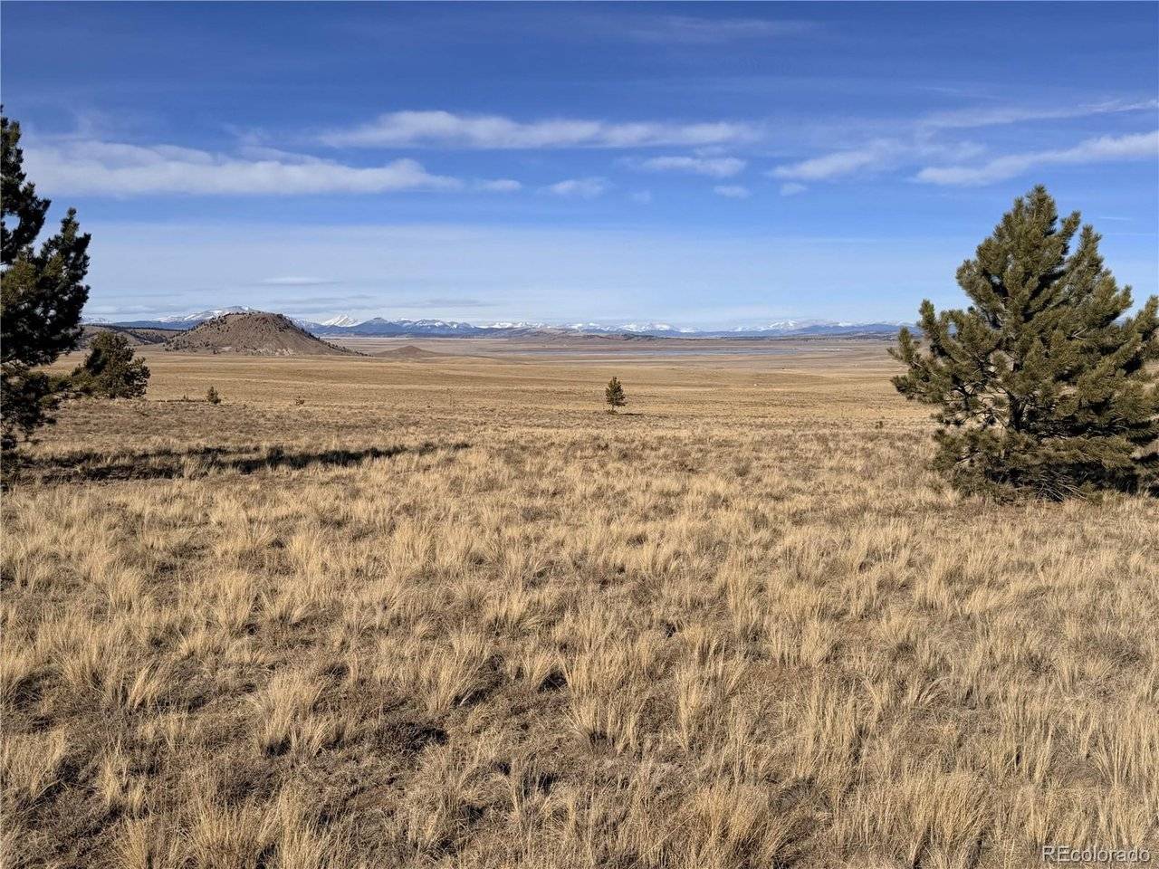 311 Harness, Hartsel, CO 80449