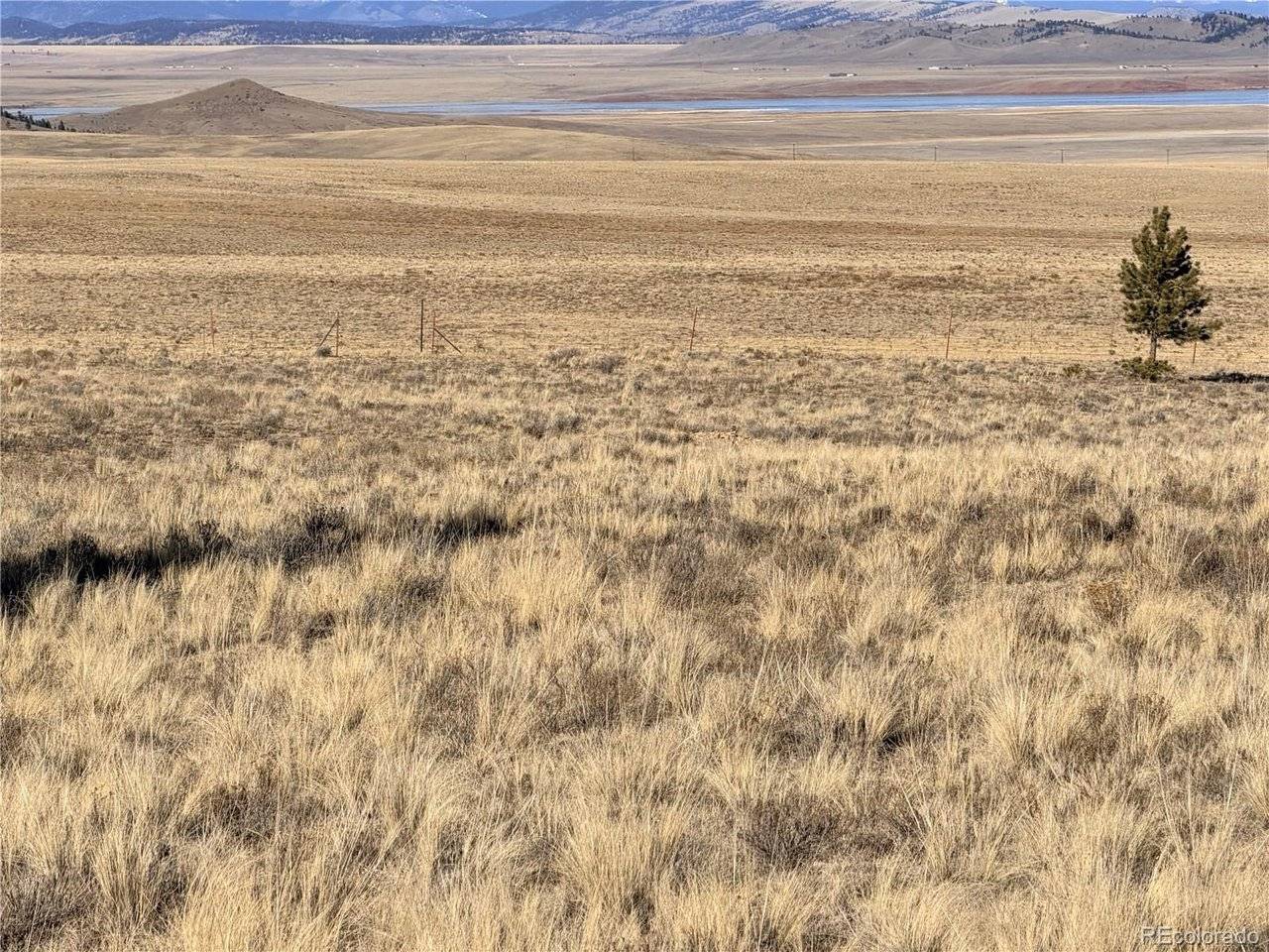 311 Harness, Hartsel, CO 80449