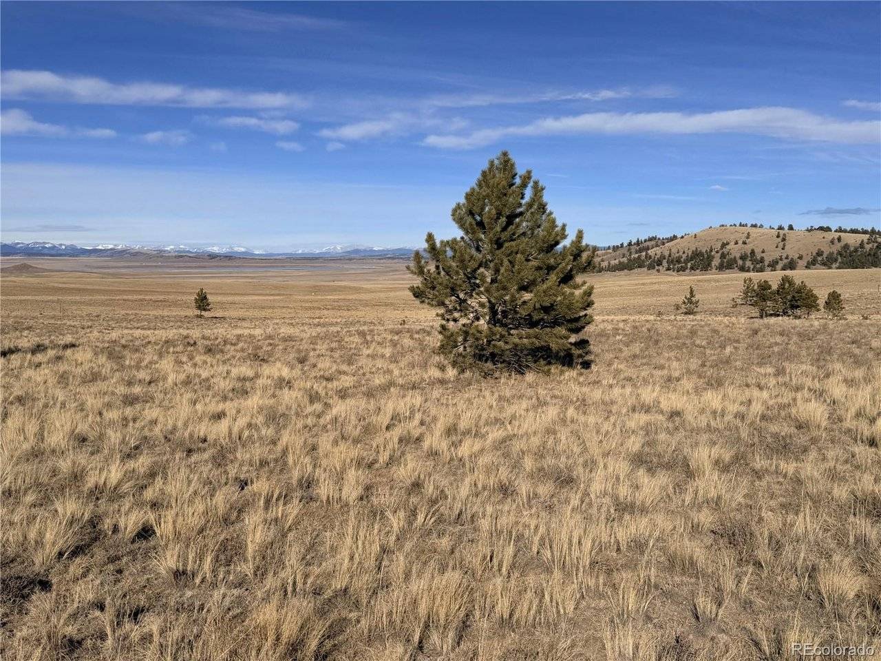 311 Harness, Hartsel, CO 80449