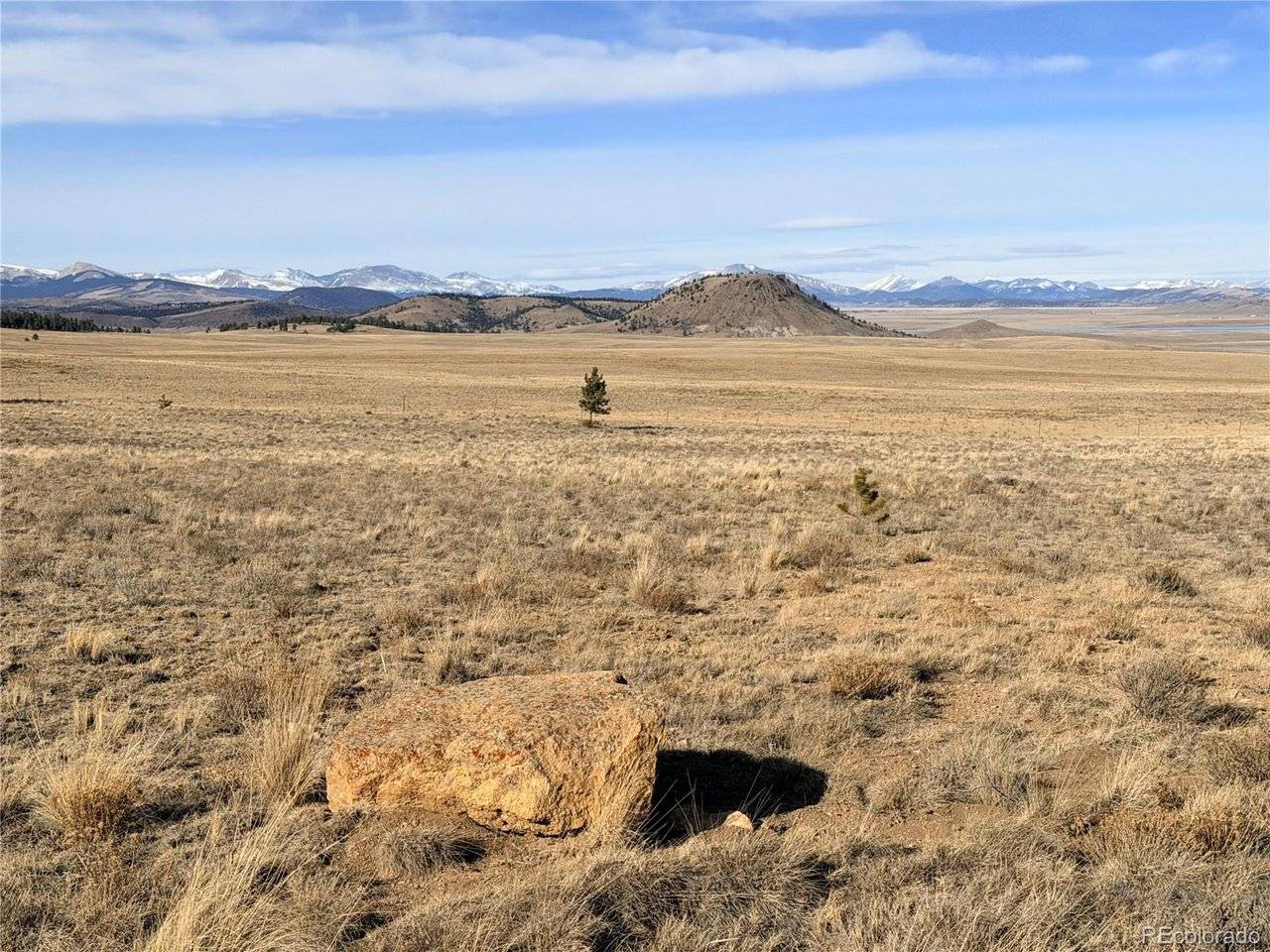 311 Harness, Hartsel, CO 80449