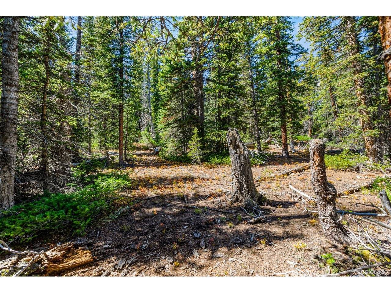 112 Sunshine, Fairplay, CO 80440