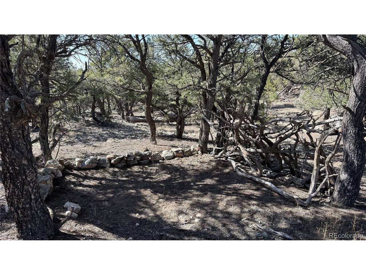 1872 Rockyview, Crestone, CO 81131