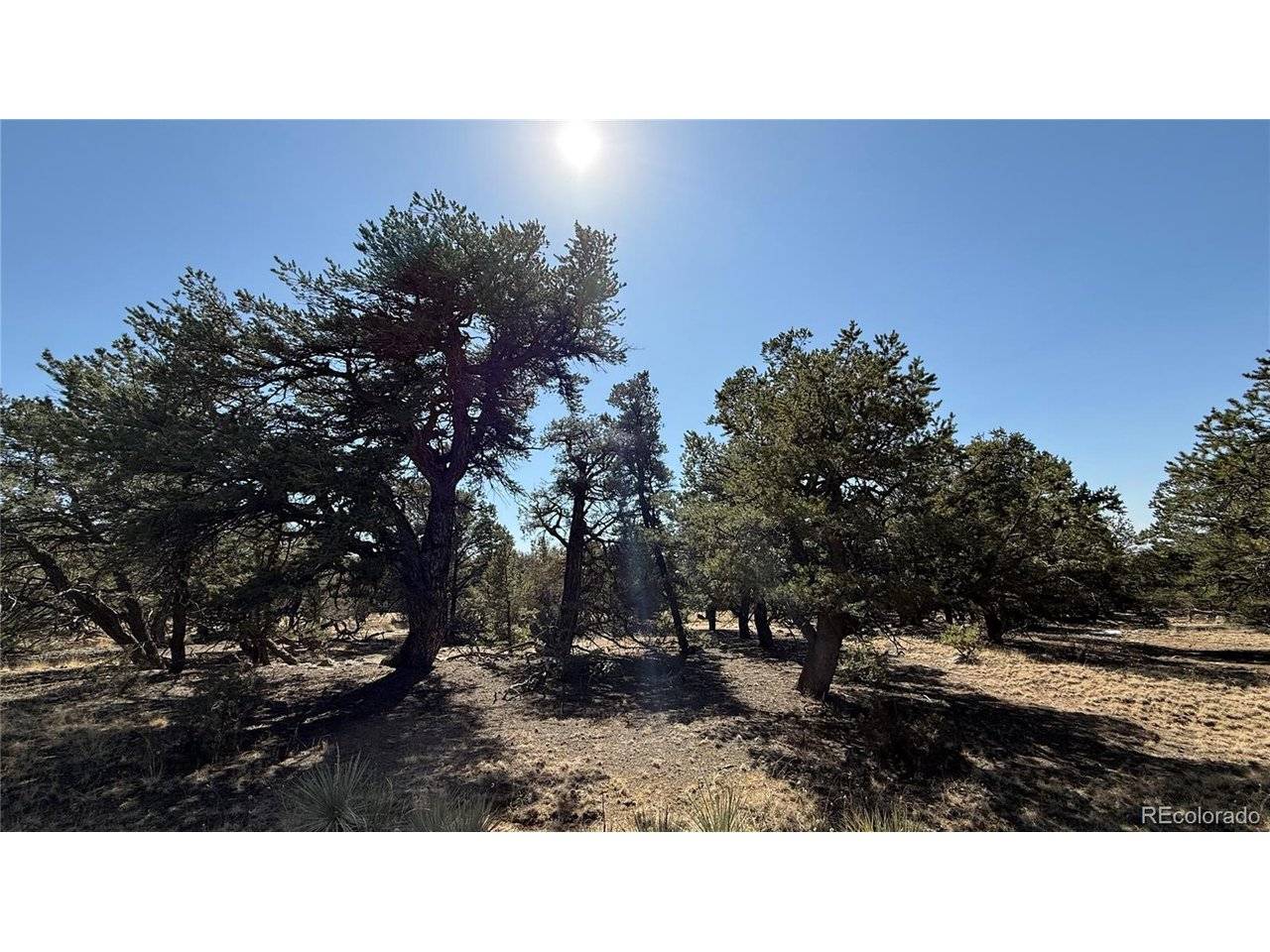 1872 Rockyview, Crestone, CO 81131