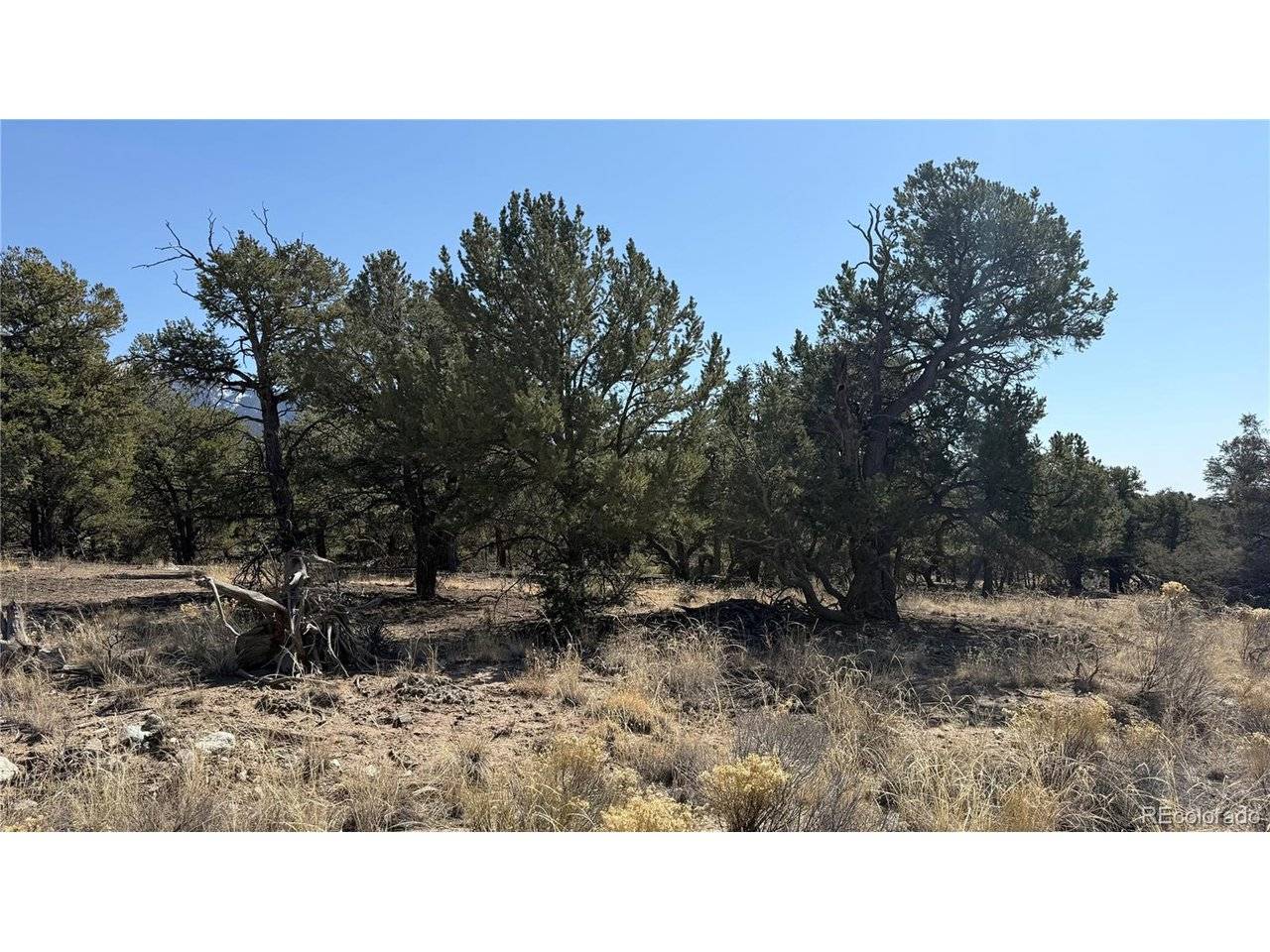 1872 Rockyview, Crestone, CO 81131