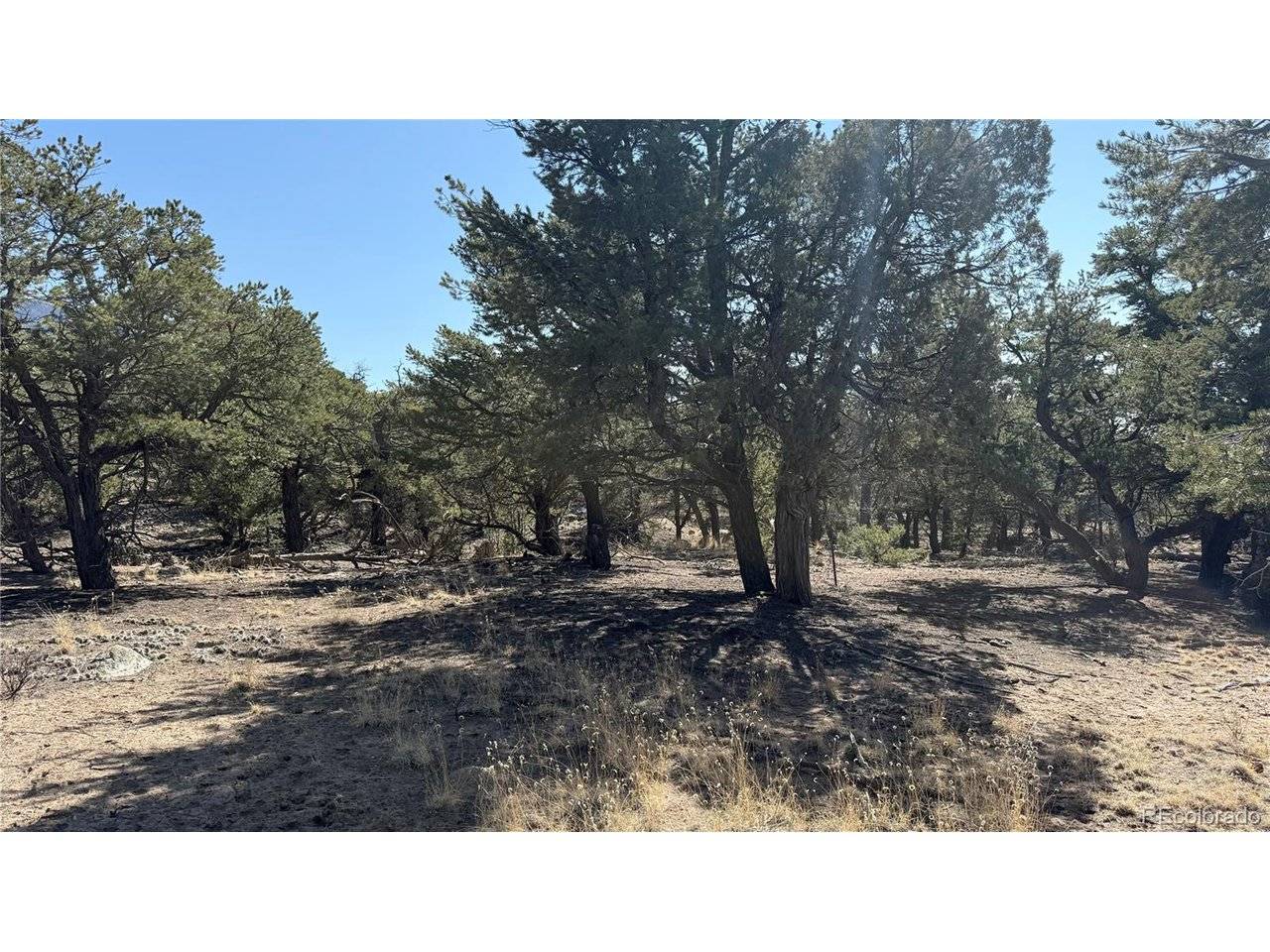1872 Rockyview, Crestone, CO 81131