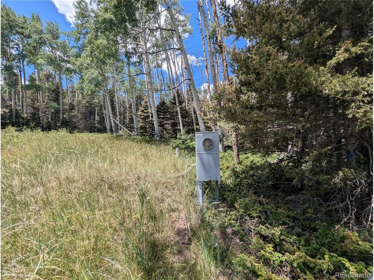 3070 Henderson, Fort Garland, CO 81133