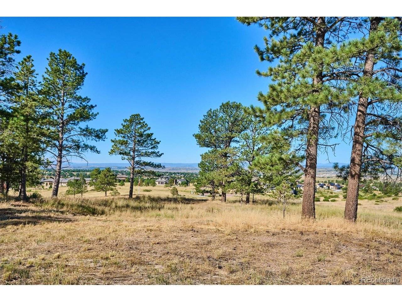 8830 Witez, Parker, CO 80134