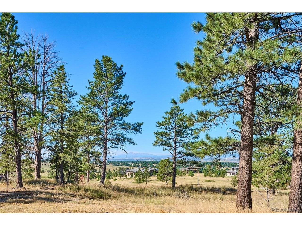 8830 Witez, Parker, CO 80134