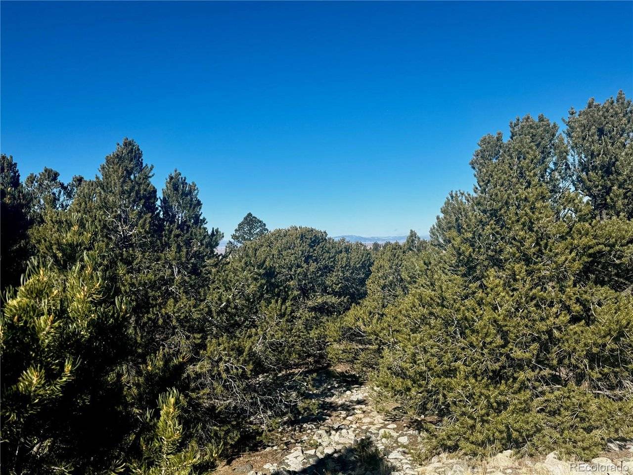 21 Moki, Mosca, CO 81146
