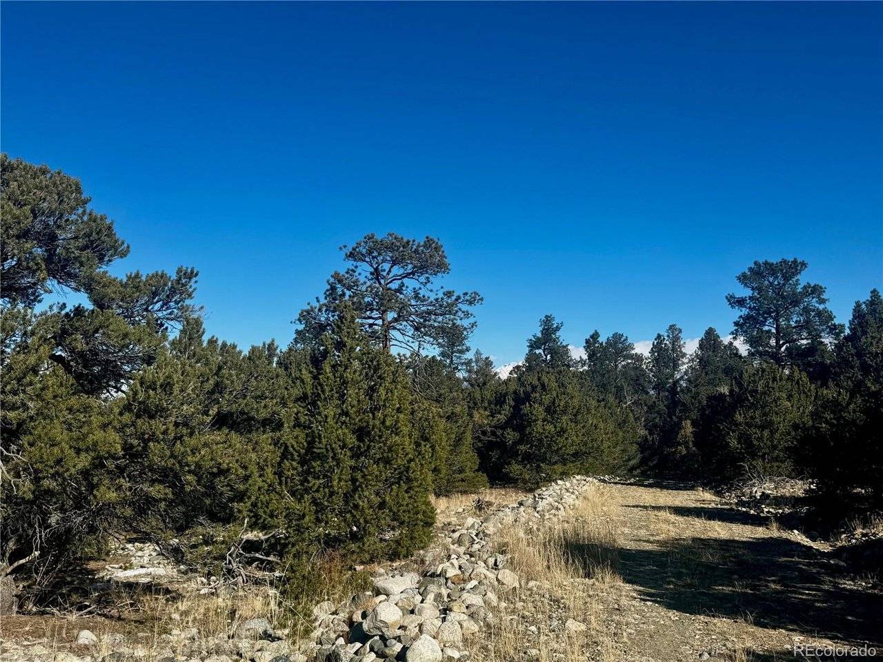 21 Moki, Mosca, CO 81146