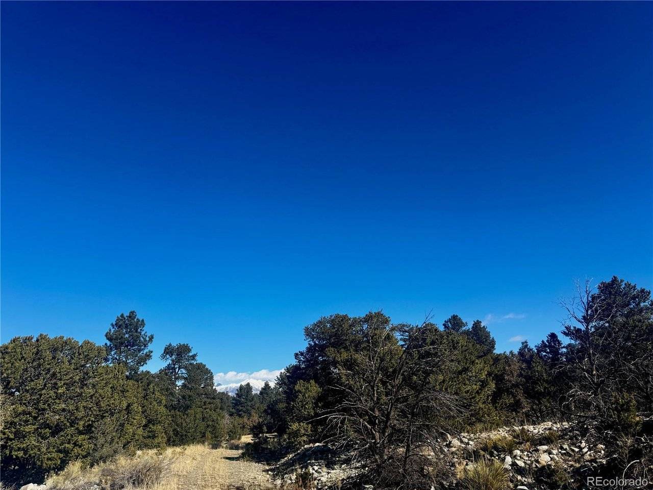 21 Moki, Mosca, CO 81146