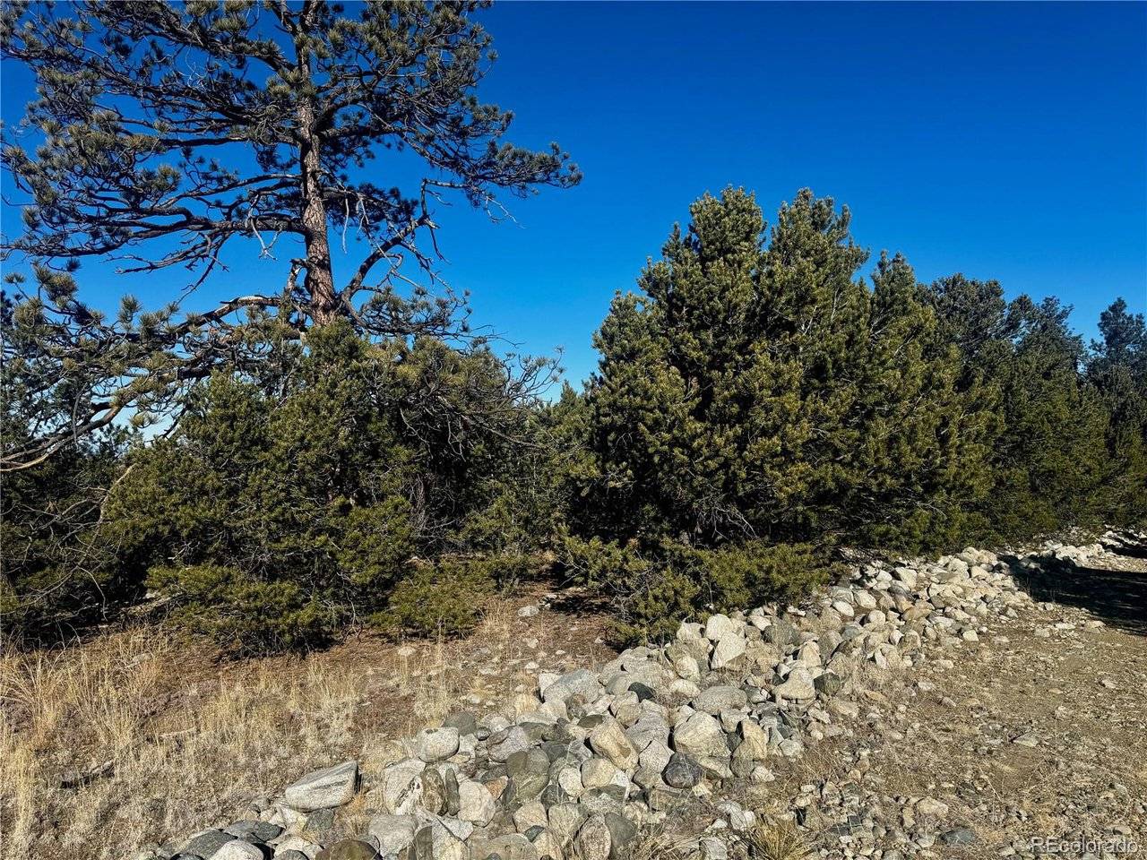 21 Moki, Mosca, CO 81146