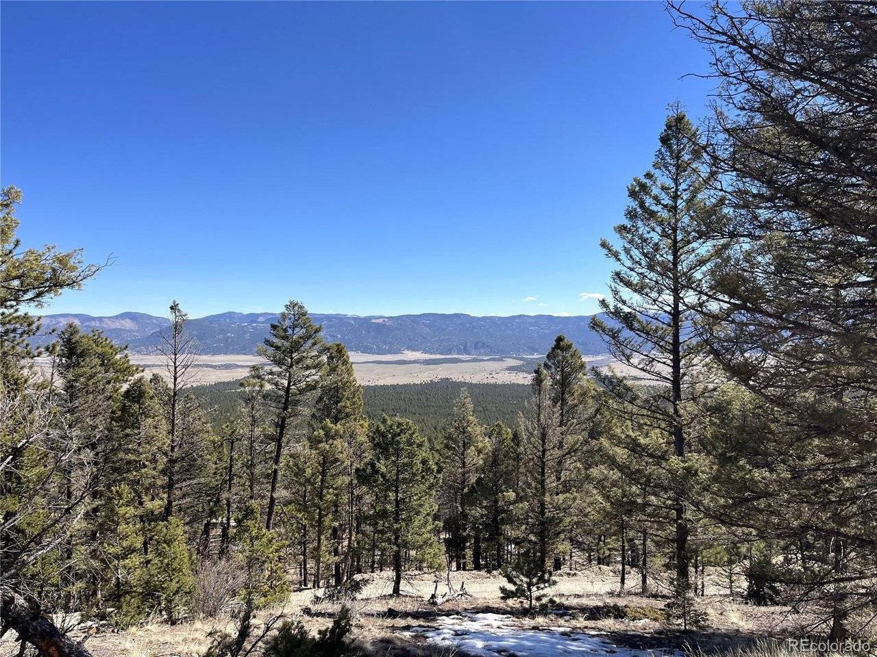 16872 County Road 325, Buena Vista, CO 81236