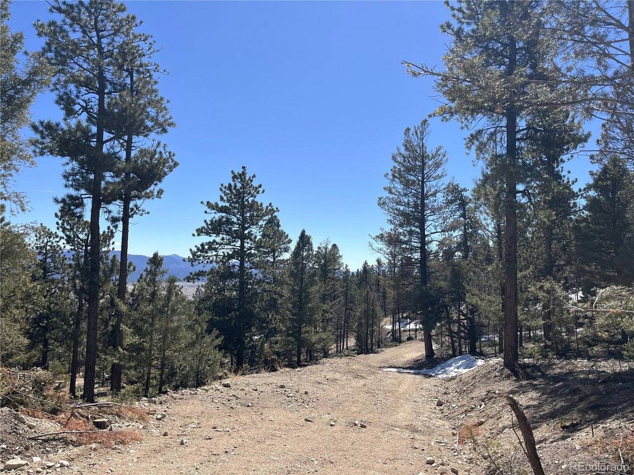 16872 County Road 325, Buena Vista, CO 81236