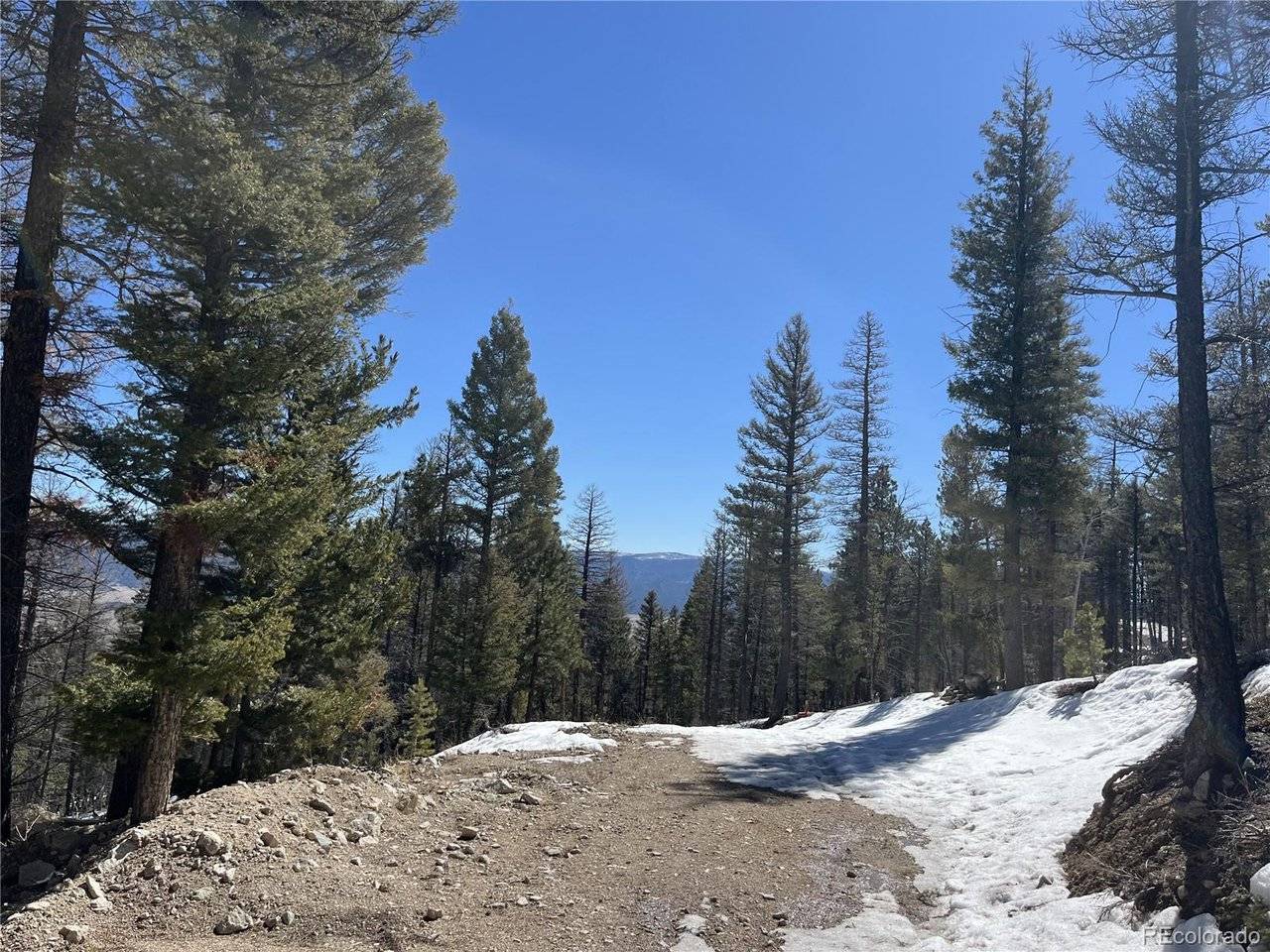 16872 County Road 325, Buena Vista, CO 81236