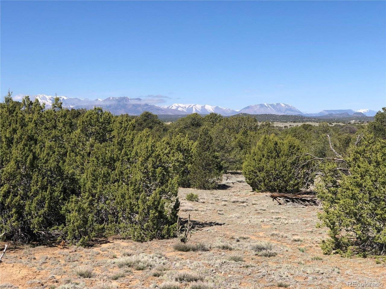 936 Rio Cucharas Phs #3, Walsenburg, CO 81089
