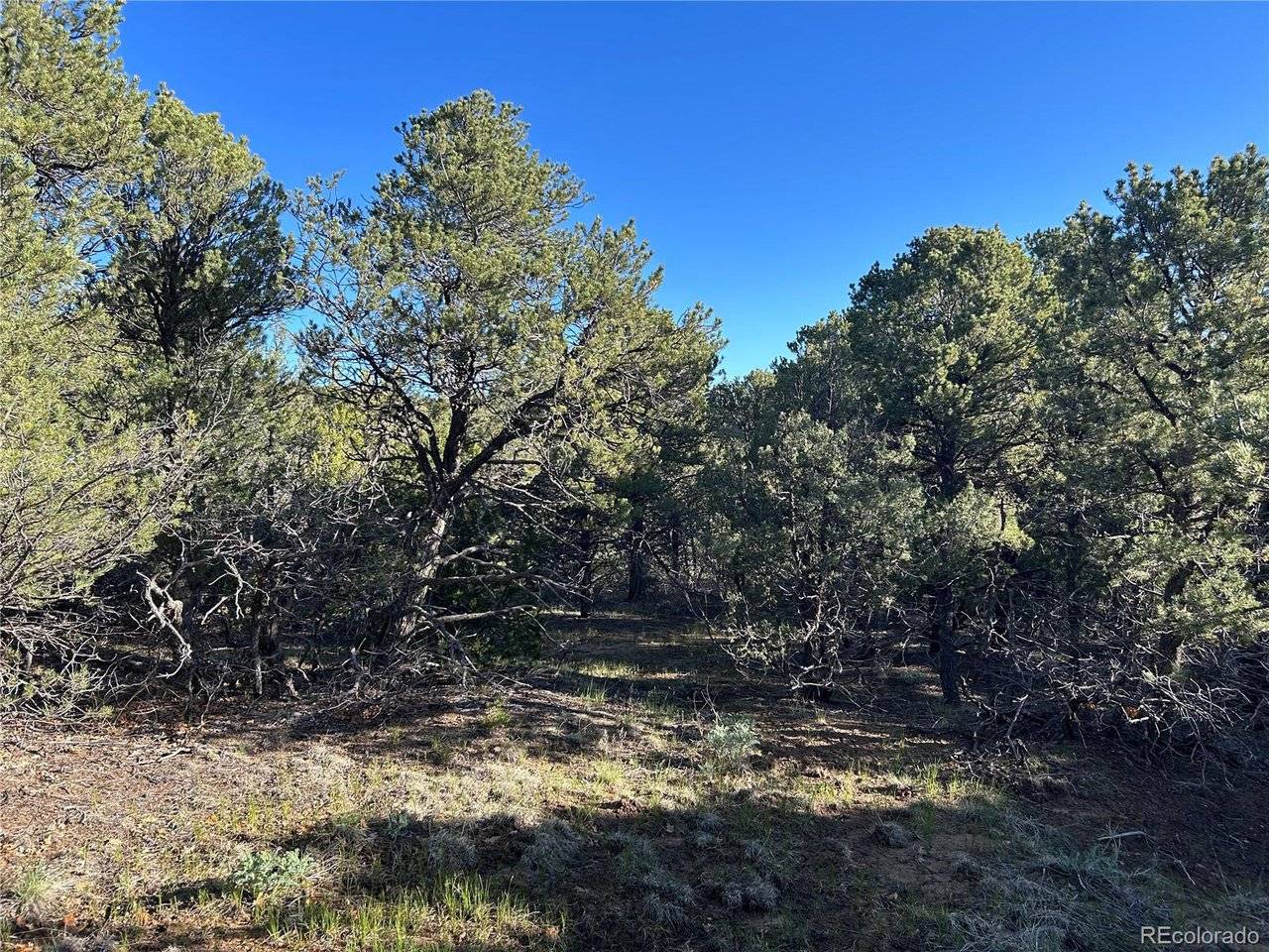 165 Silver Spurs Ranch, Walsenburg, CO 81089