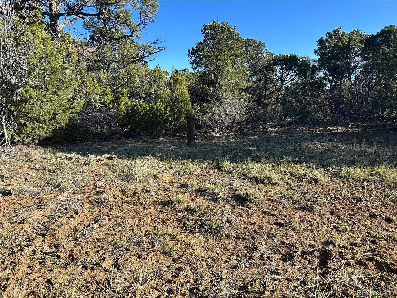 165 Silver Spurs Ranch, Walsenburg, CO 81089