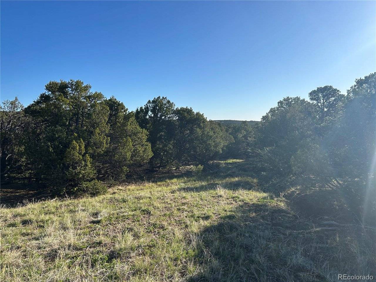 165 Silver Spurs Ranch, Walsenburg, CO 81089
