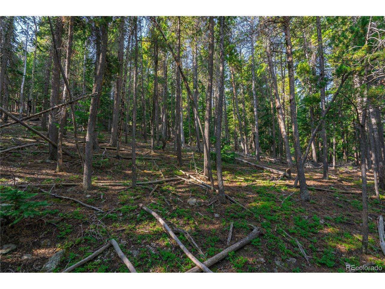 0 Aspenwood, Evergreen, CO 80439