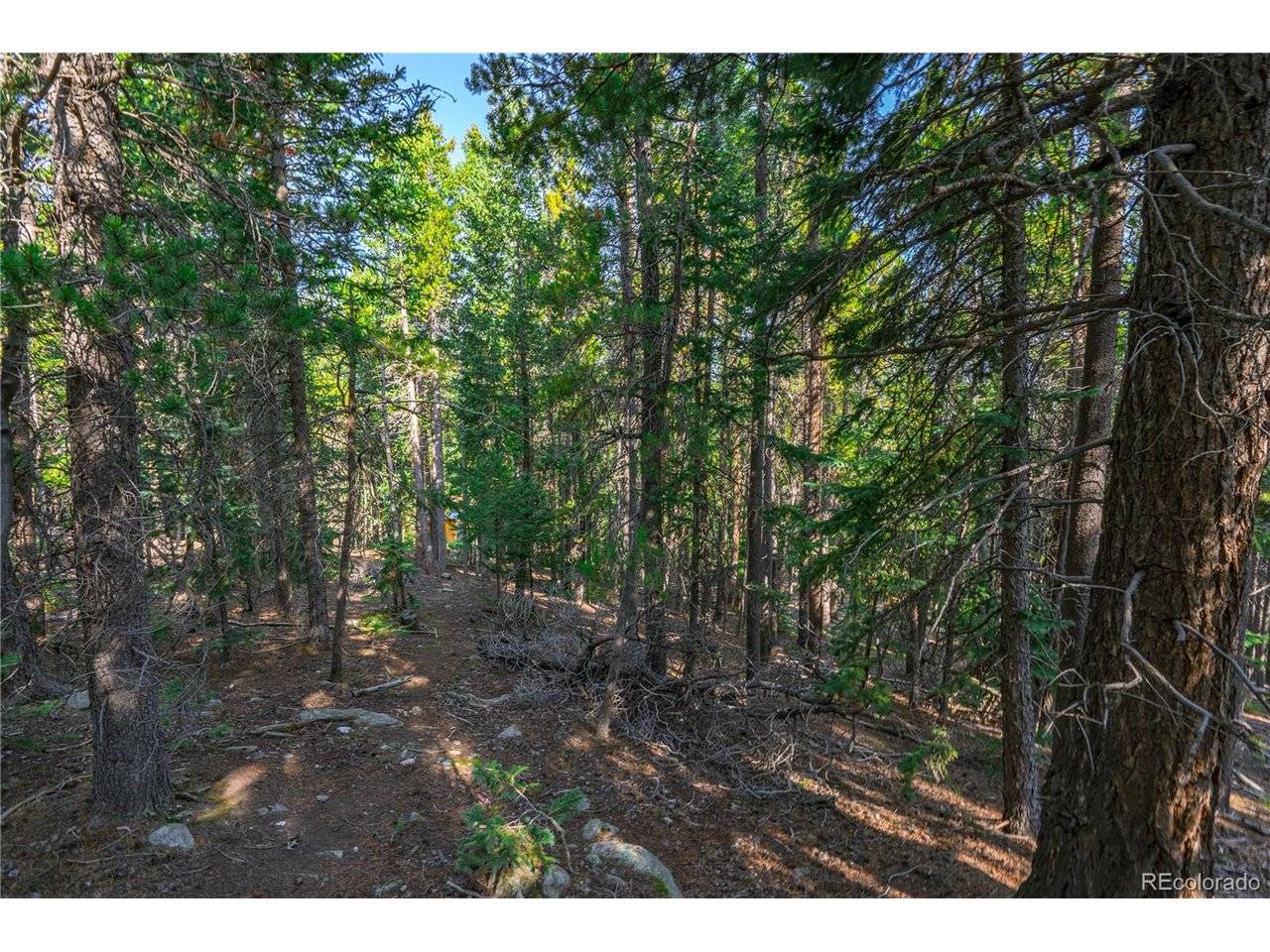 0 Aspenwood, Evergreen, CO 80439