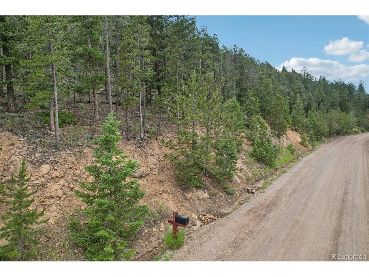Elk Valley, Evergreen, CO 80439