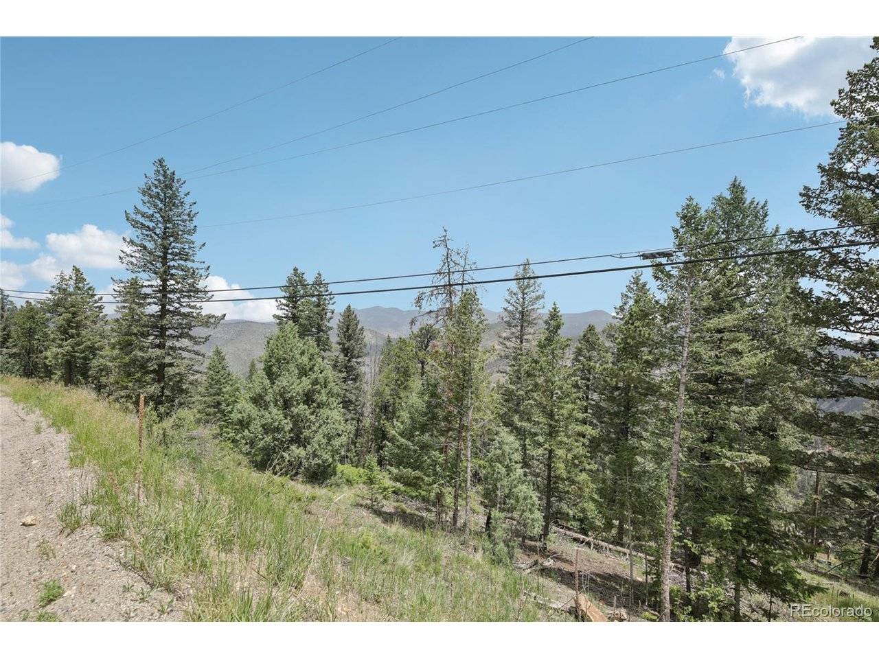 Elk Valley, Evergreen, CO 80439