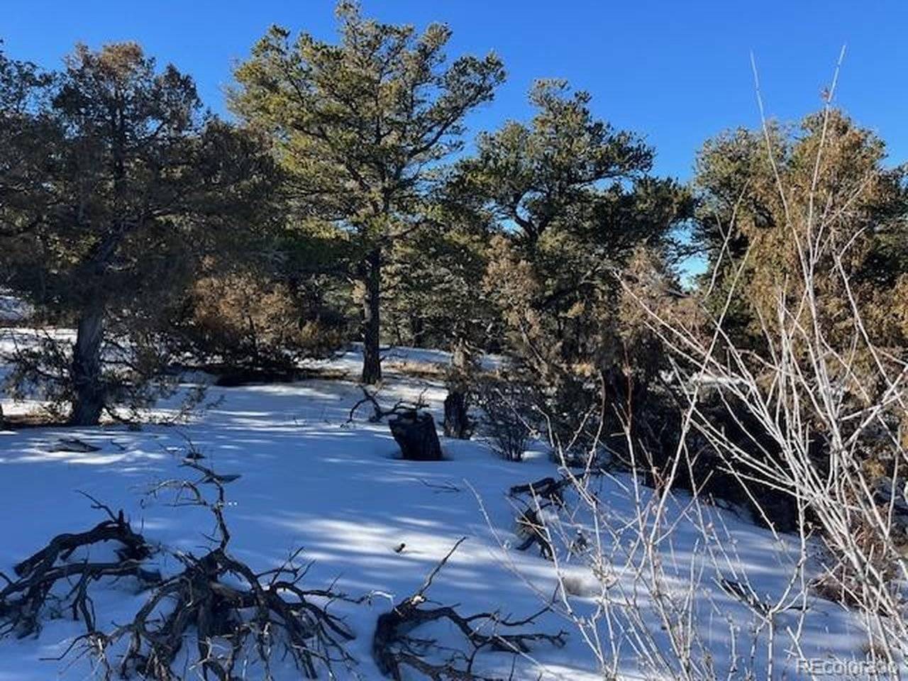 7898 Tiernan, Fort Garland, CO 81133