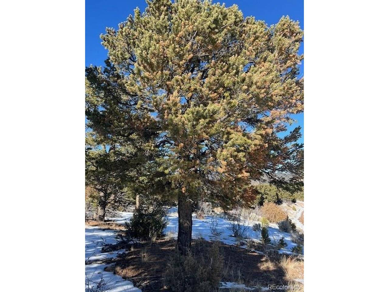 7898 Tiernan, Fort Garland, CO 81133