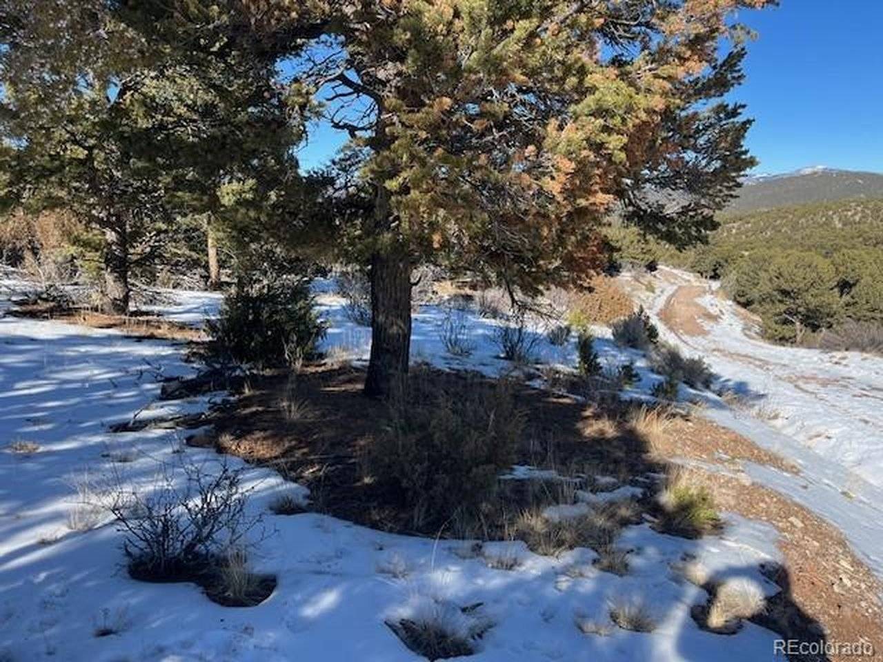 7898 Tiernan, Fort Garland, CO 81133