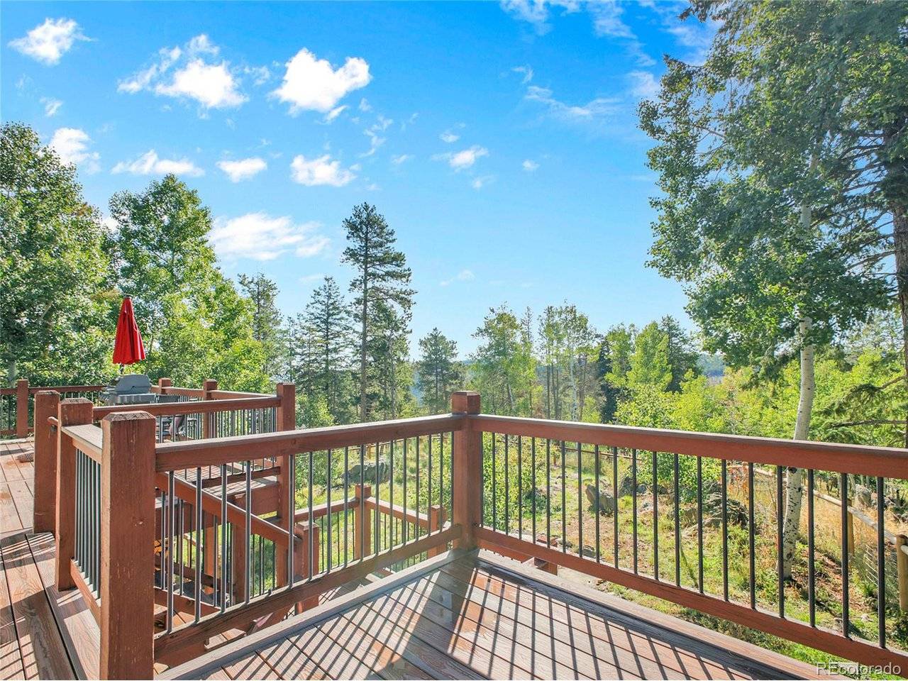11049 Schweigert, Conifer, CO 80433