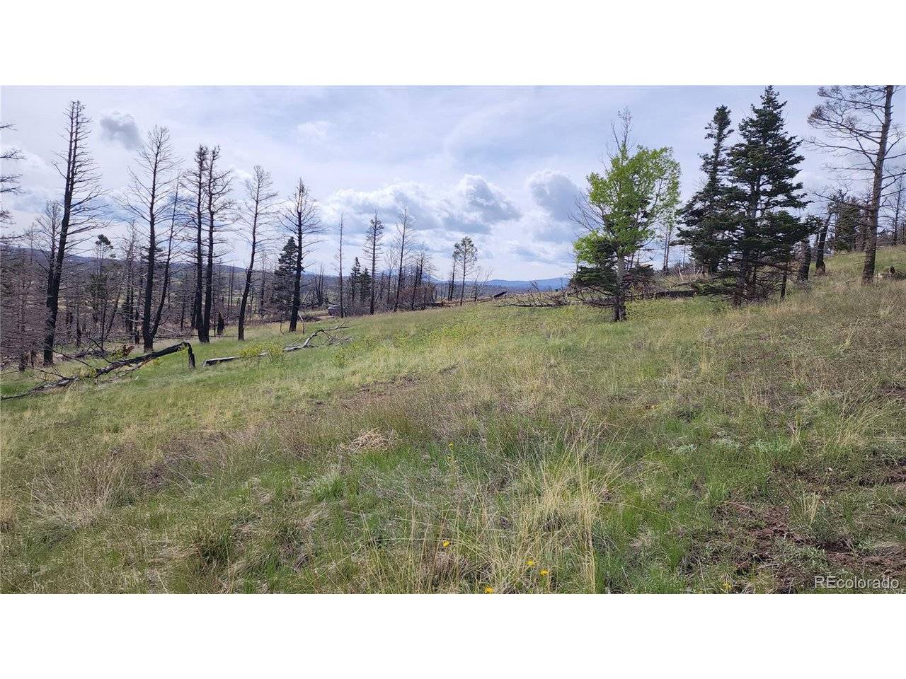 449 Duckworth, Fort Garland, CO 81133
