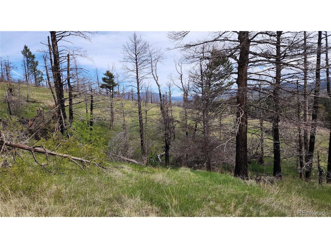 449 Duckworth, Fort Garland, CO 81133