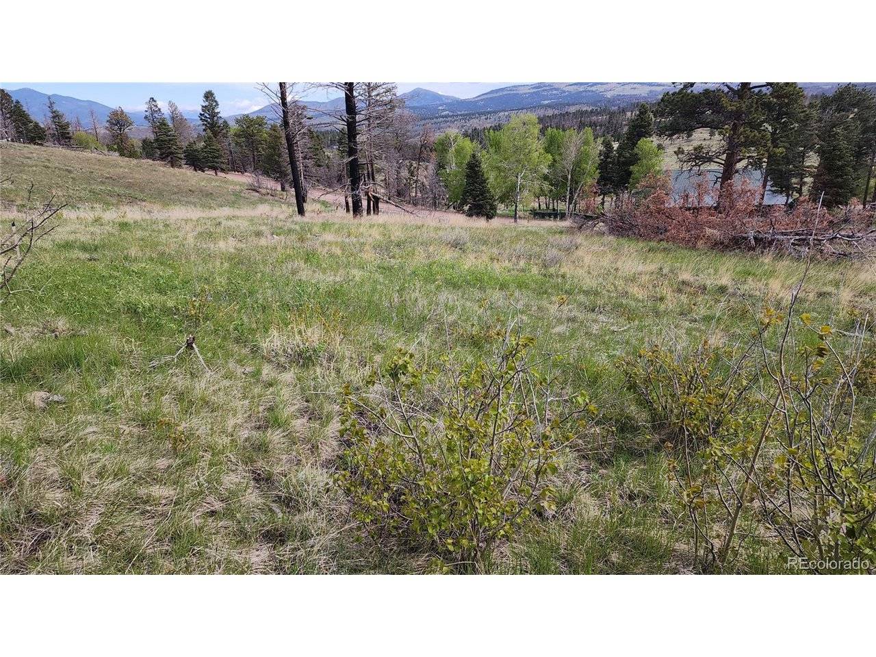 449 Duckworth, Fort Garland, CO 81133