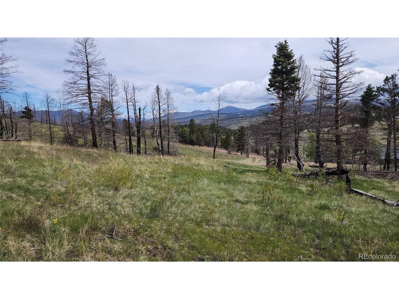 449 Duckworth, Fort Garland, CO 81133