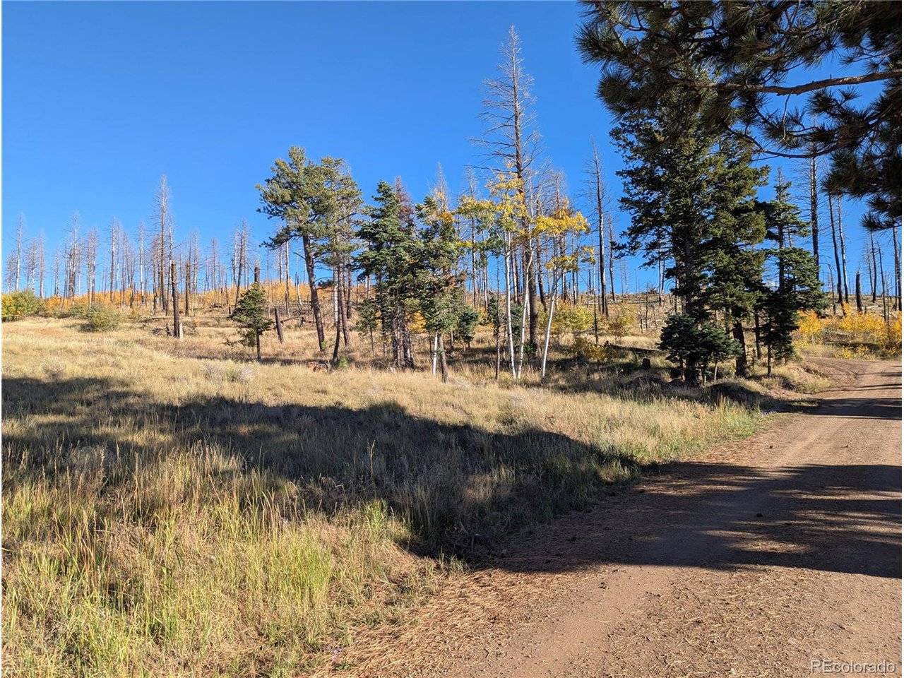 1207 Emery, Fort Garland, CO 81133